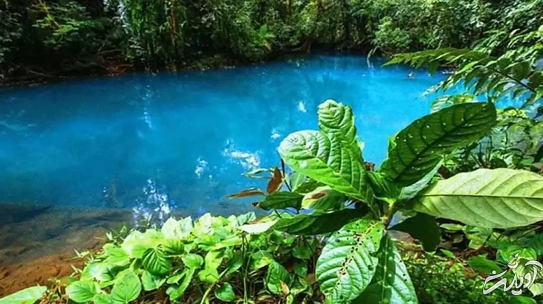 لذت آب تنی در سکونتگاه انسان های اولیه